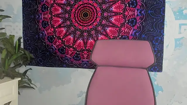 LidaDarknet webcam
