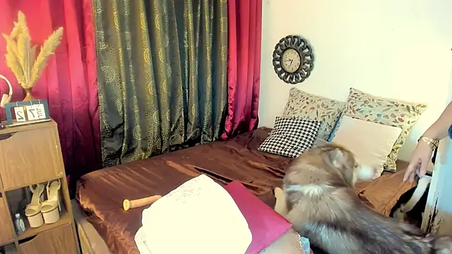 hotcassy webcam
