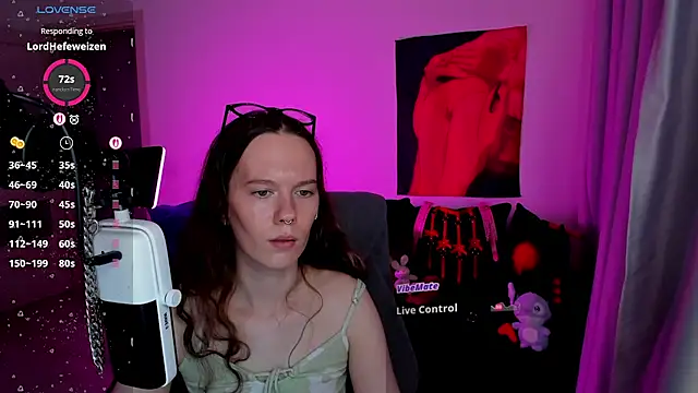 Vulgar_Tamer