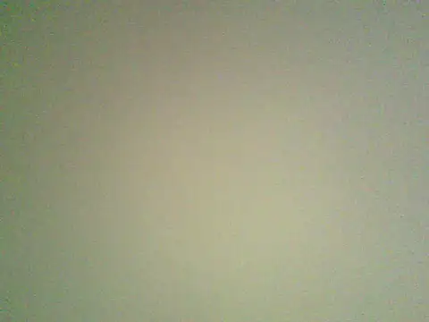 Yalamania webcam