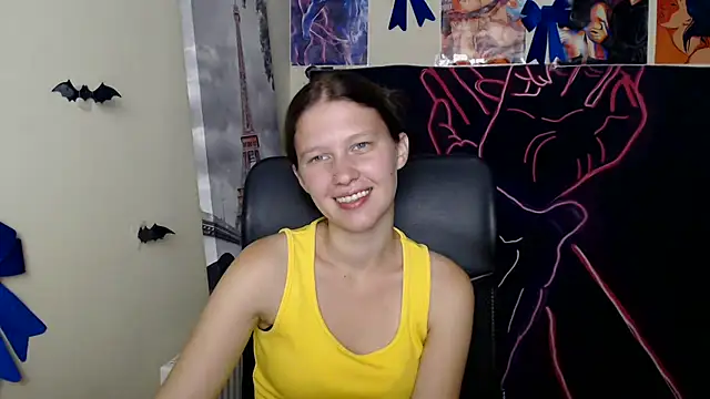 StellaCRL webcam