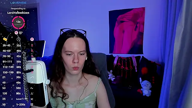 Vulgar_Tamer