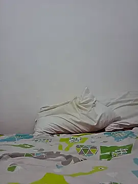 altinya webcam