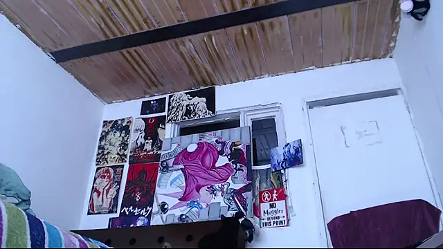 Cortana2_0 webcam