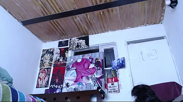 Cortana2_0 webcam