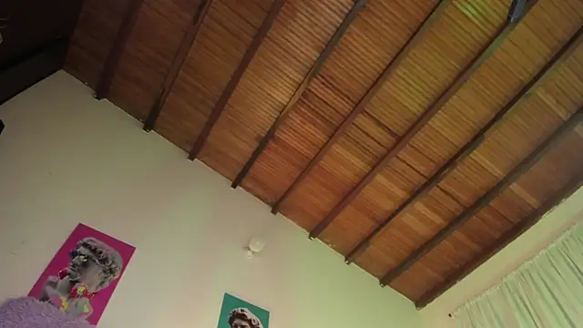 ArchieCollins webcam