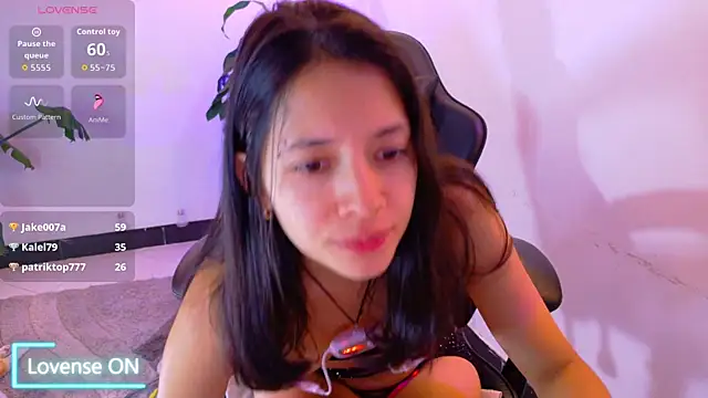 Sarasavage webcam