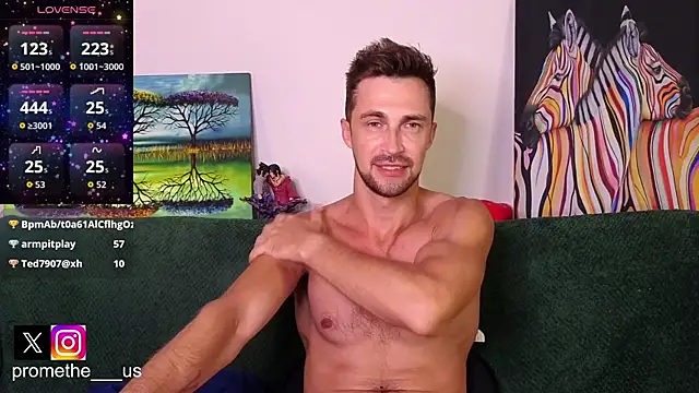 Promethe_us webcam