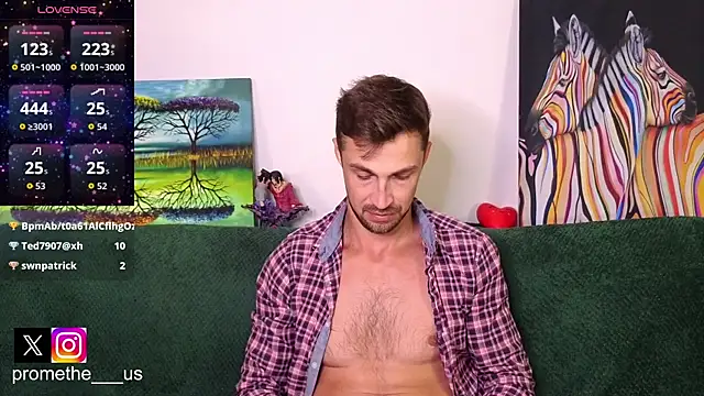 Promethe_us webcam