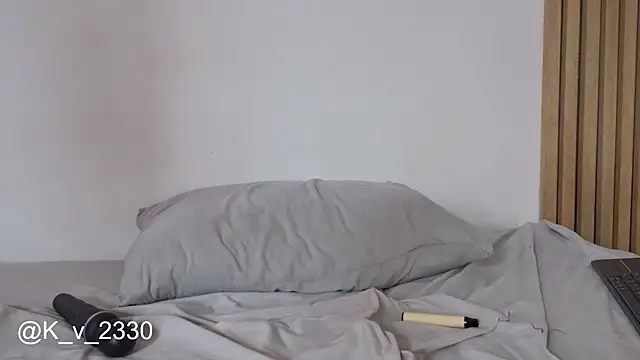sofiesoft webcam