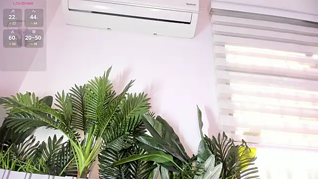 stephanymonroe webcam