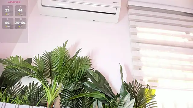 stephanymonroe webcam
