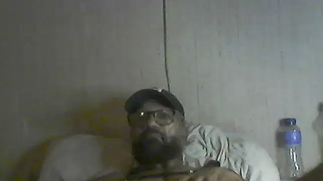 pigDany live cam on StripChat