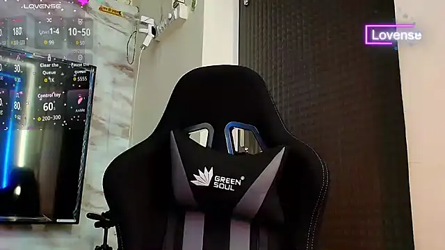 SilverShade3 webcam
