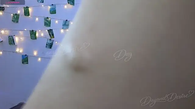 DayandDesire webcam