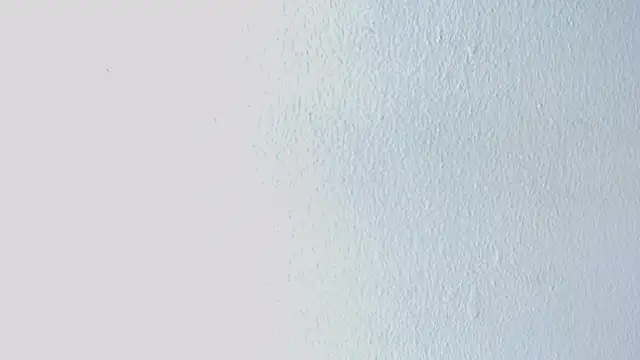 alessiaariamar webcam