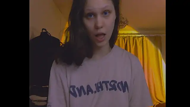 Lunliss webcam