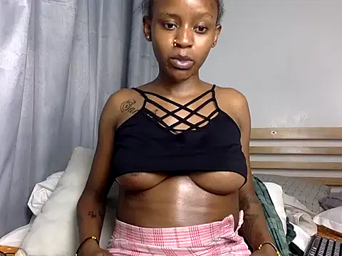 Tinydakota webcam