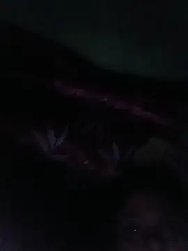 Sayanichatterjee024 webcam
