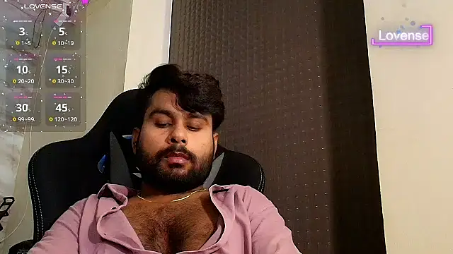 SilverShade3 webcam