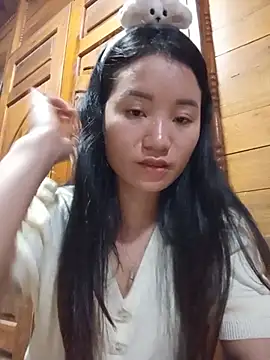 Td3di webcam