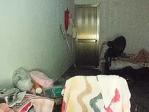 RebelAura webcam