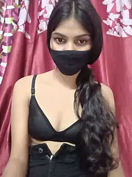 Amira-school webcam