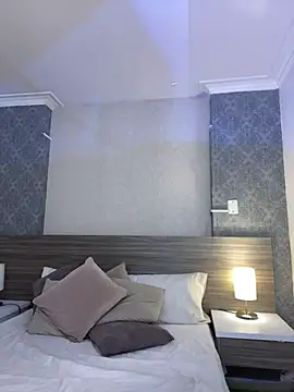 Mistyca webcam