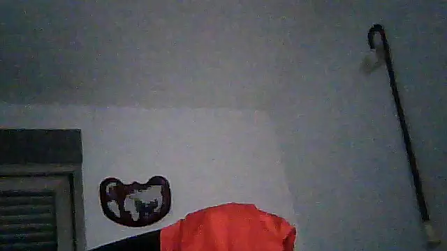 SirFrankonde webcam