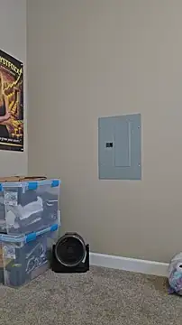 AmethystFoxx webcam