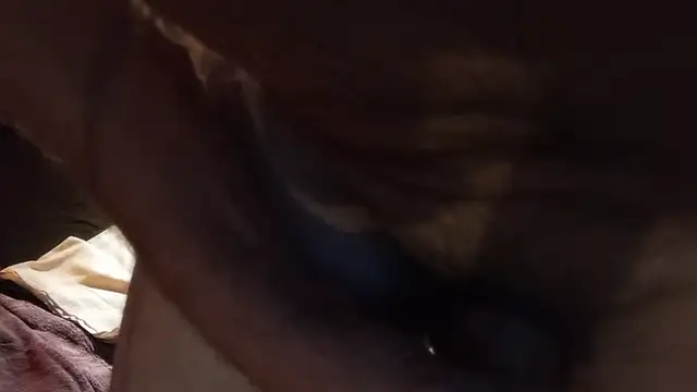 Kitrider live cam on StripChat