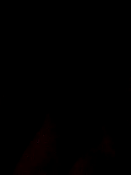 RaspuT002 live sex cam