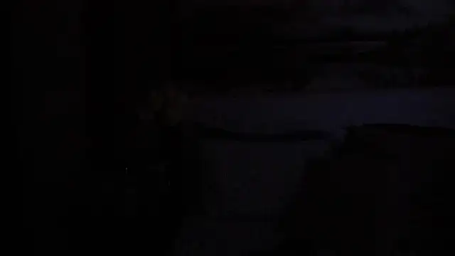 Aurora_Real webcam