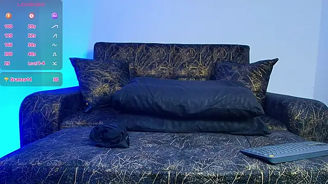 BrayaanFit webcam