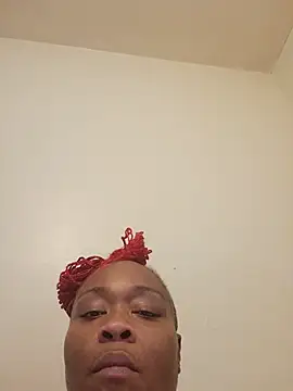 AllLeggs webcam