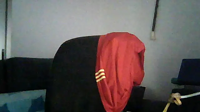 SirFrankonde webcam