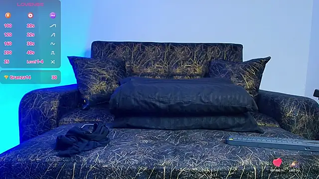 BrayaanFit webcam