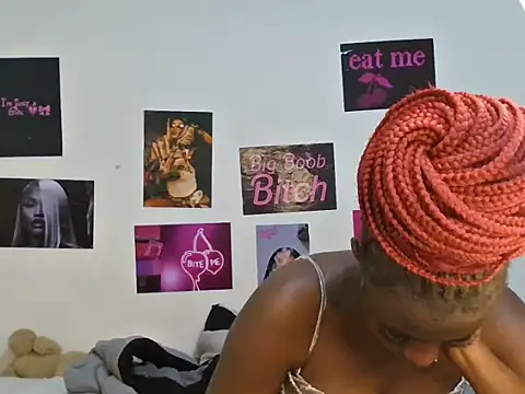 Aria_ah webcam