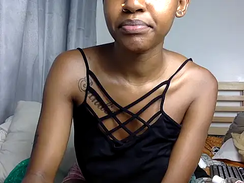 Tinydakota webcam