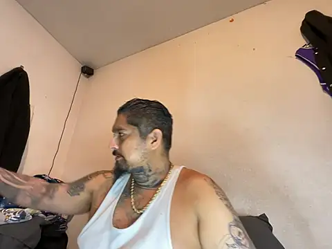 Vision1285 webcam