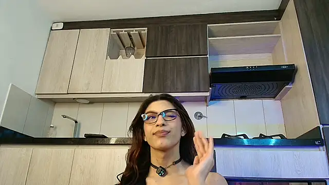 Arimoonn webcam