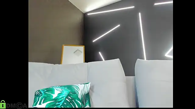 ari_sollis webcam