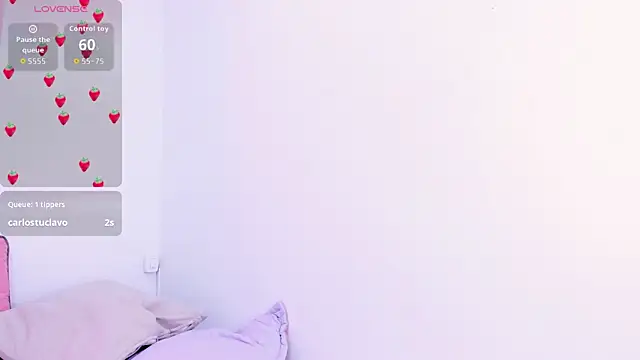 SamiraSilva webcam