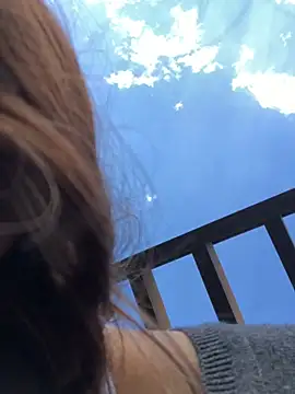 3littles webcam