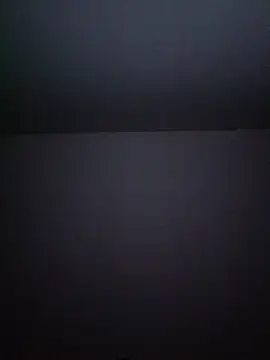 gladieitore