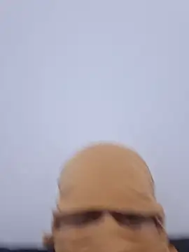 Tesudao00000