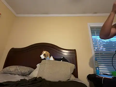 Charmingswoleking webcam