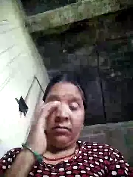 Loomaraj webcam