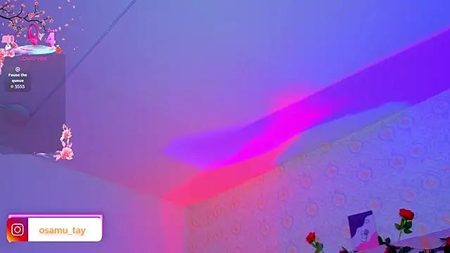 osamu_tay webcam