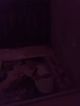 novinhosilva's live room
